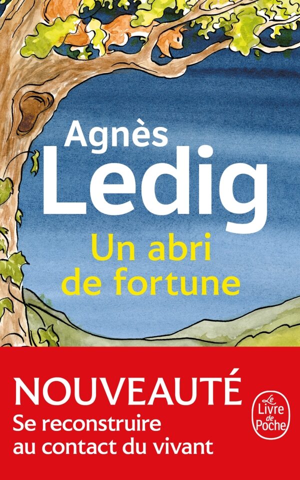 L’attribut alt de cette image est vide, son nom de fichier est un-abri-de-fortune-edited.jpeg.